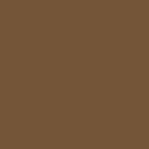 Vallejo Game Color: 062 Earth, 17 ml