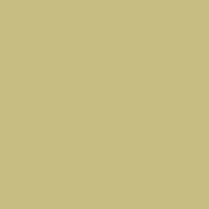 Vallejo Game Color: 035 Dead Flesh, 17 ml