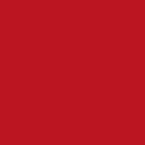 Vallejo Game Color: 010 Bloody Red, 17 ml