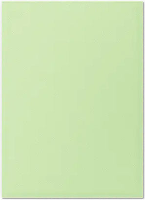 Dragon Shield Standard Sleeves - Dual Matte Pastel Gooseberry (100)