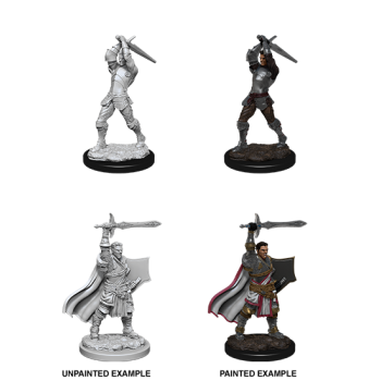 D&D Nolzur's Marvelous Miniatures - Male Human Paladin