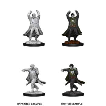D&D Nolzur's Marvelous Miniatures - Revenant