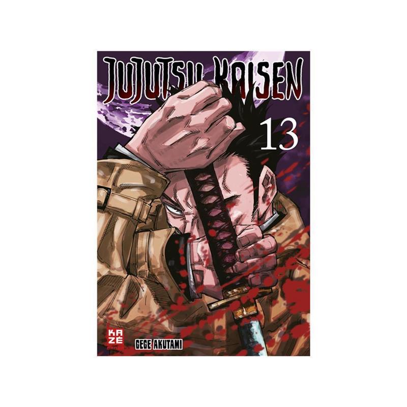 Jujutsu Kaisen 13