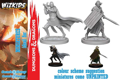 Pathfinder Deep Cuts Miniatures Elf Male Paladin