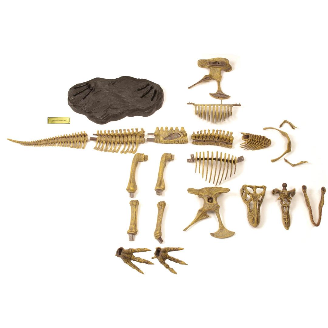 Jurassic Hunters - T-Rex Model Kit
