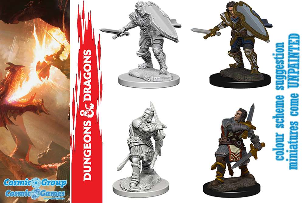 D&D Nolzur's Marvelous Miniatures Human Male Paladin