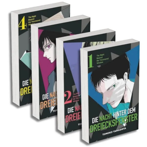 Die Nacht hinter dem Dreiecksfenster - Spar-Pack 1 (Band 1-4)