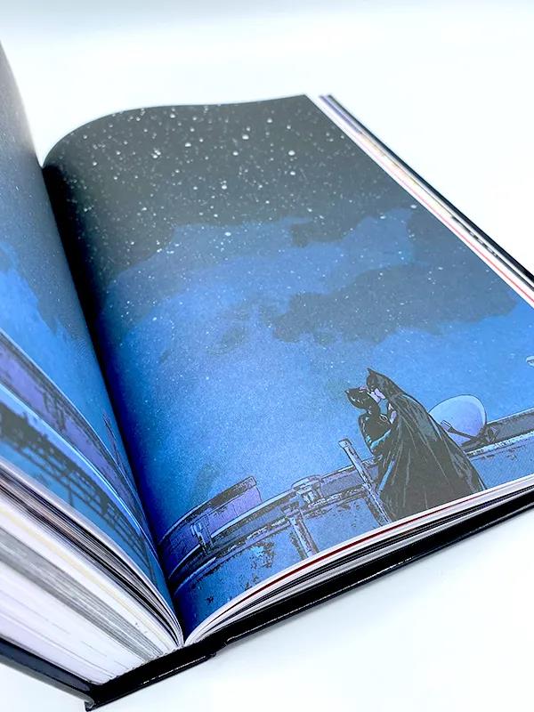 Catwoman - Anthologie: Die vielen Gesichter der Meisterdiebin aus Gotham
