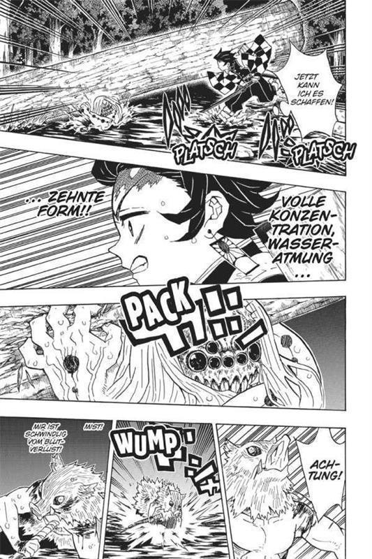 Demon Slayer - Kimetsu no Yaiba 05