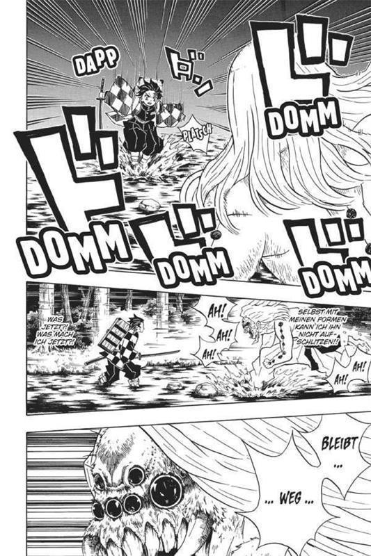 Demon Slayer - Kimetsu no Yaiba 05