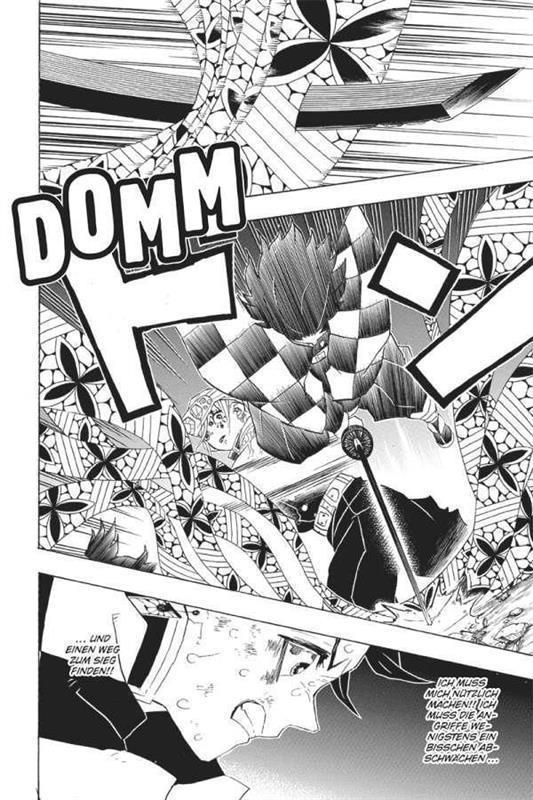Demon Slayer - Kimetsu no Yaiba 11