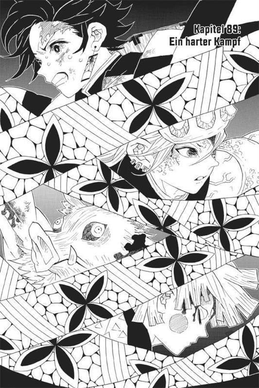 Demon Slayer - Kimetsu no Yaiba 11