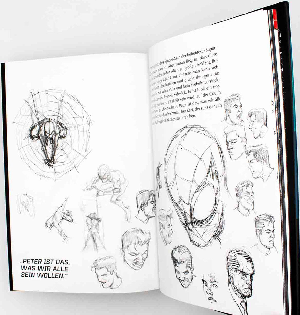 Spider-Man Collection von J. M. Straczynski 2 (von 2)