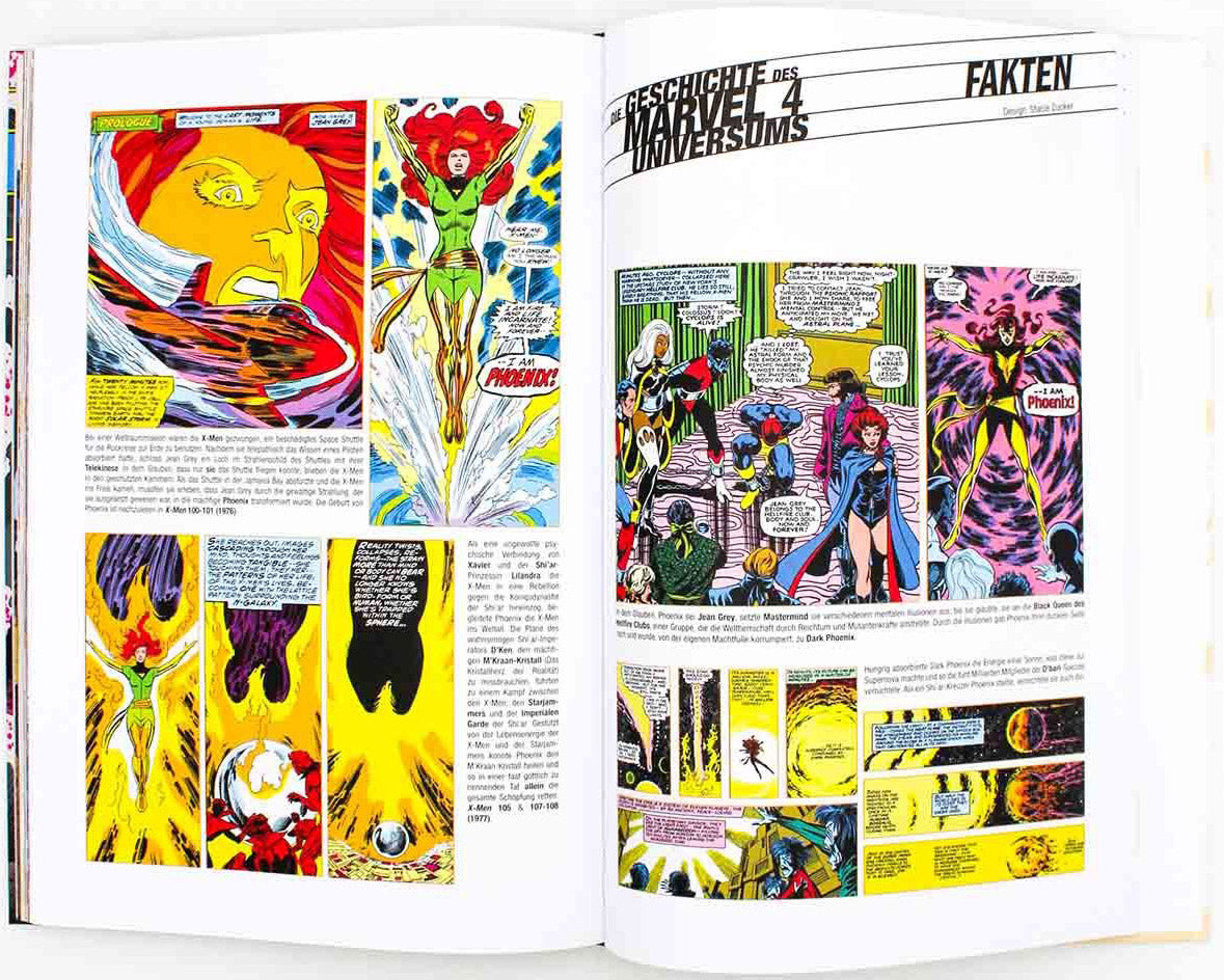 Die Geschichte des Marvel-Universums (NA im XL-Format)