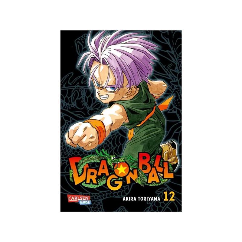 Dragon Ball Massiv 12