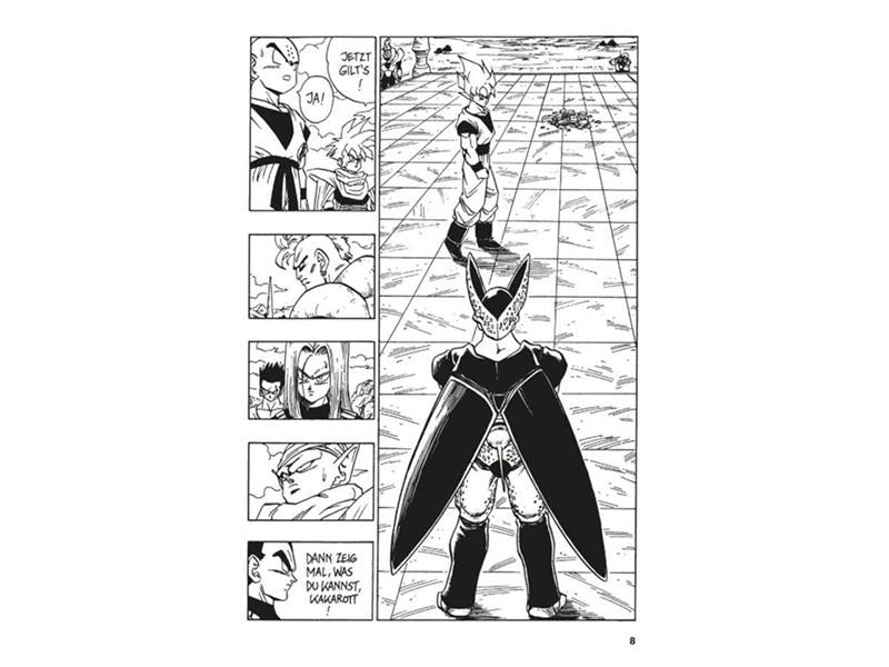 Dragon Ball Massiv 12