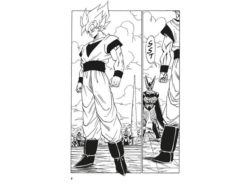 Dragon Ball Massiv 12