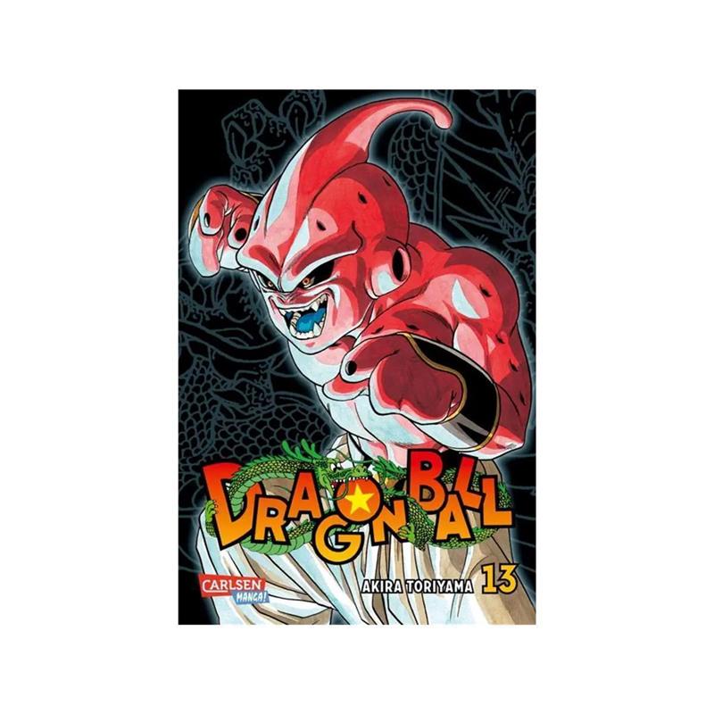 Dragon Ball Massiv 13