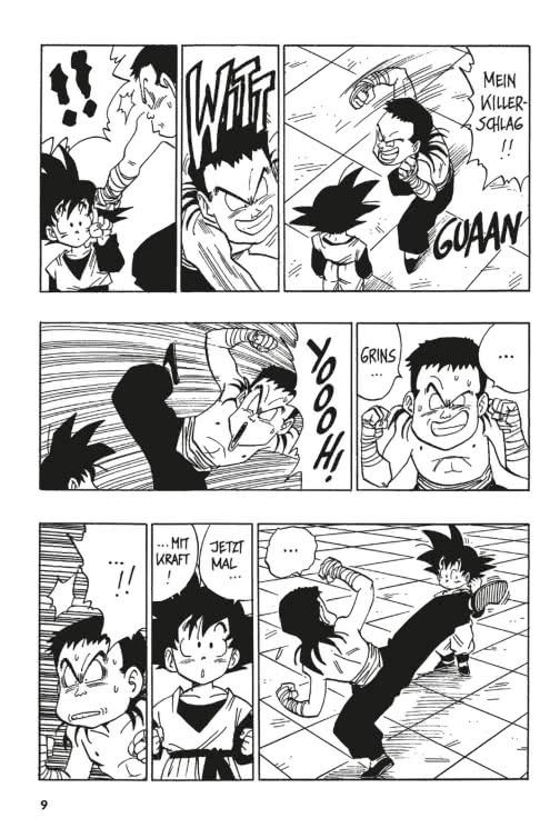 Dragon Ball Massiv 13
