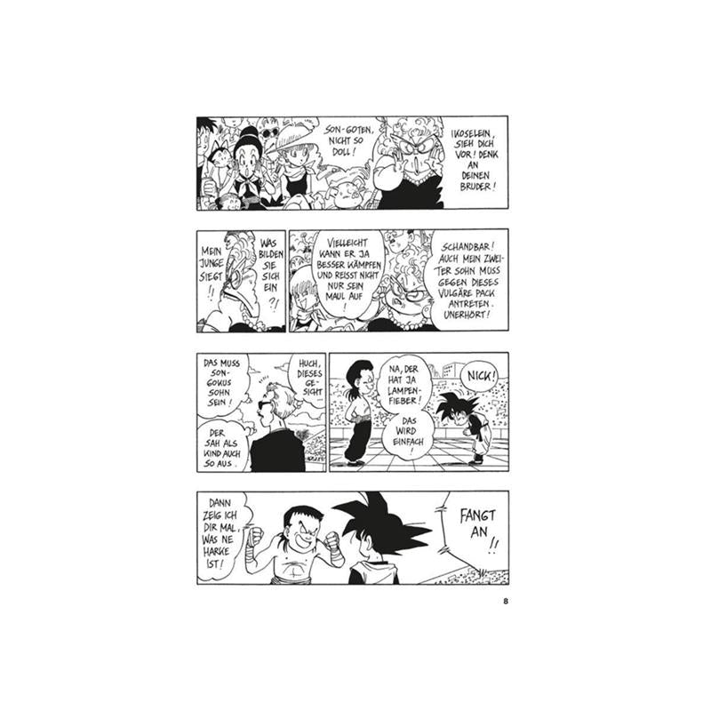 Dragon Ball Massiv 13