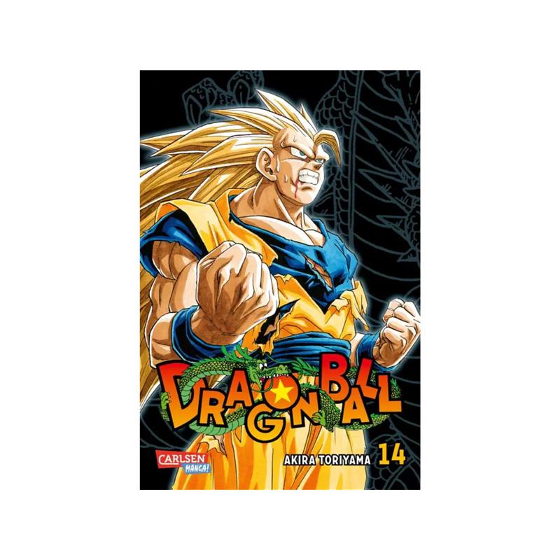 Dragon Ball Massiv 14