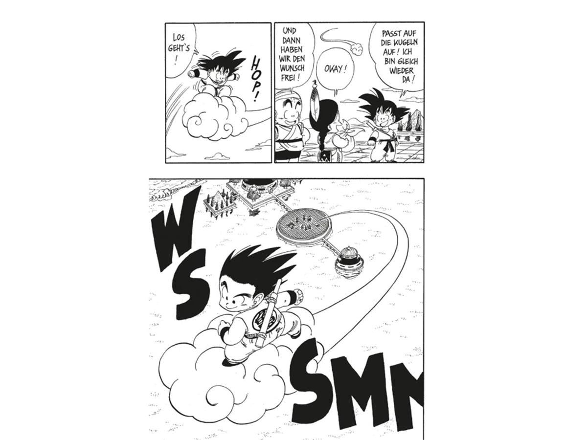 Dragon Ball Massiv 04