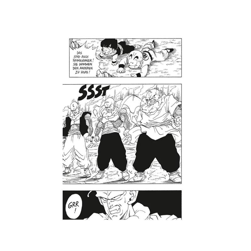 Dragon Ball Massiv 08