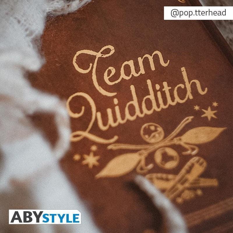 Harry Potter A5 Notebook Quidditch