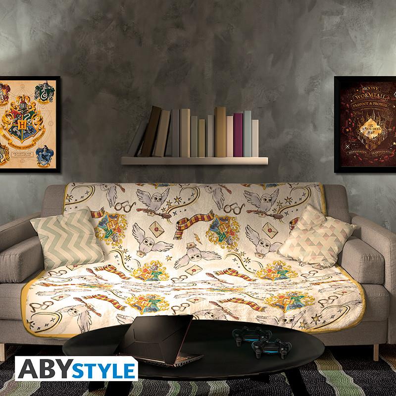 Harry Potter Decke "Harry's Welt"