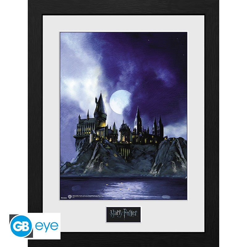 Harry Potter Framed Print "Hogwarts Painted" 30 x 40 cm