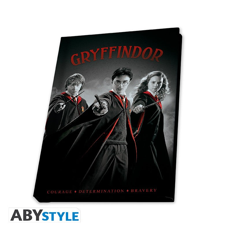 Harry Potter Gift Set Gryffindor