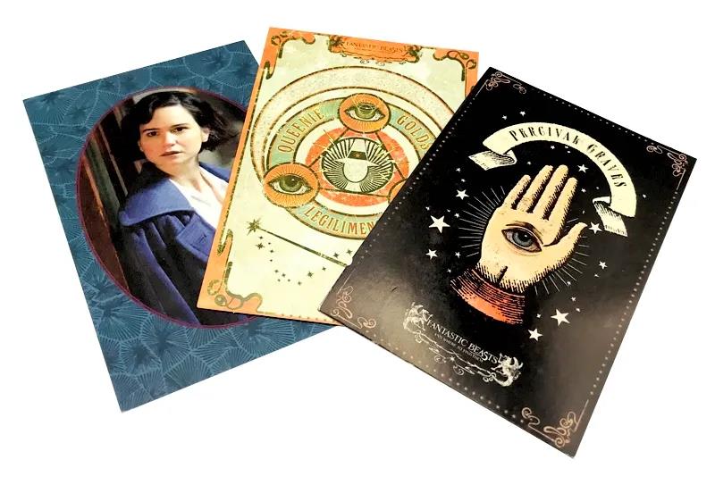 Phantastische Tierwesen - Newt Scamander - Das Handbuch zum Film