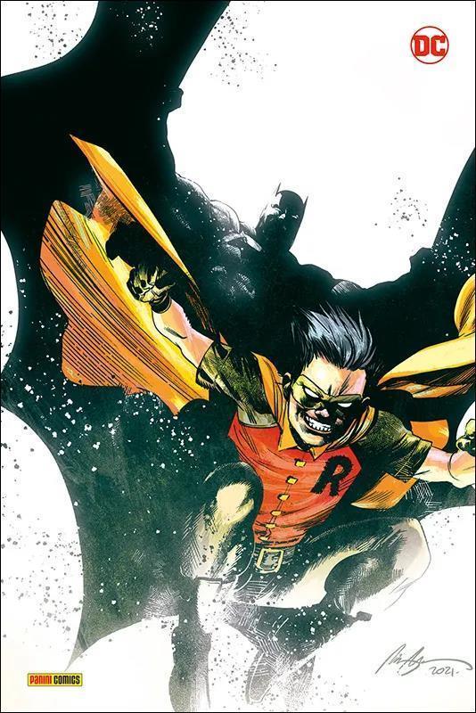 Robin und Batman - Der Weg zum Helden, HC (555)