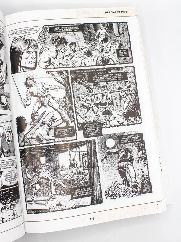 Savage Sword of Conan: Classic Collection 4