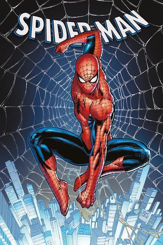 Spider-Man Paperback 07: Kampf um 2099, HC (150)