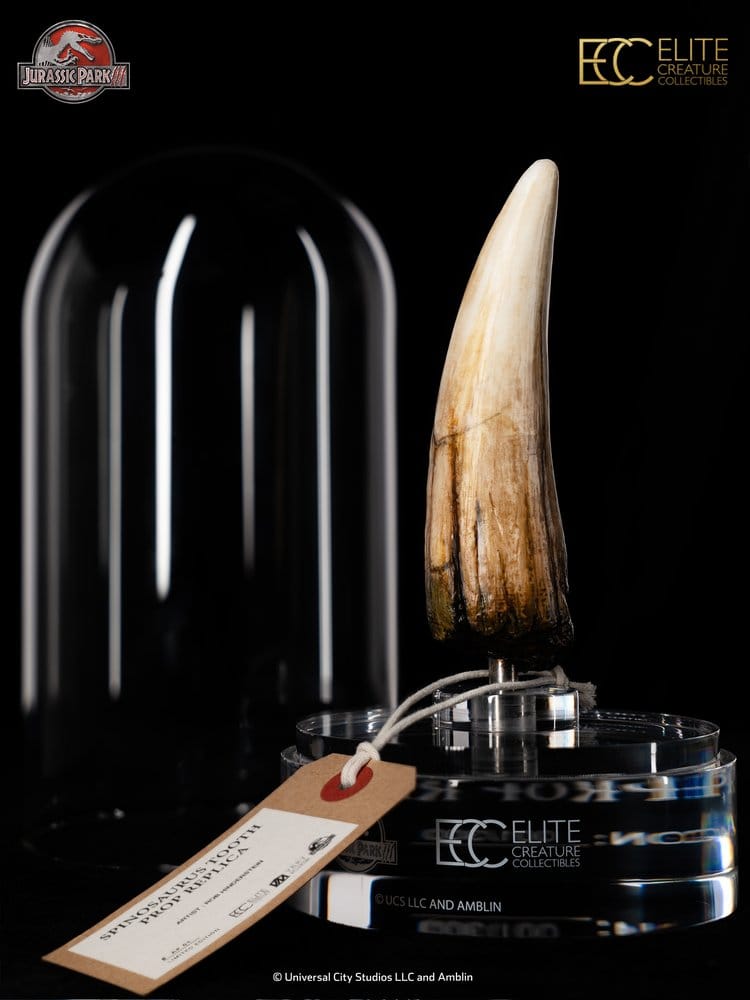 Jurassic Park III Prop Replica 1/1 Scale Spinosaurus Tooth, 14 cm