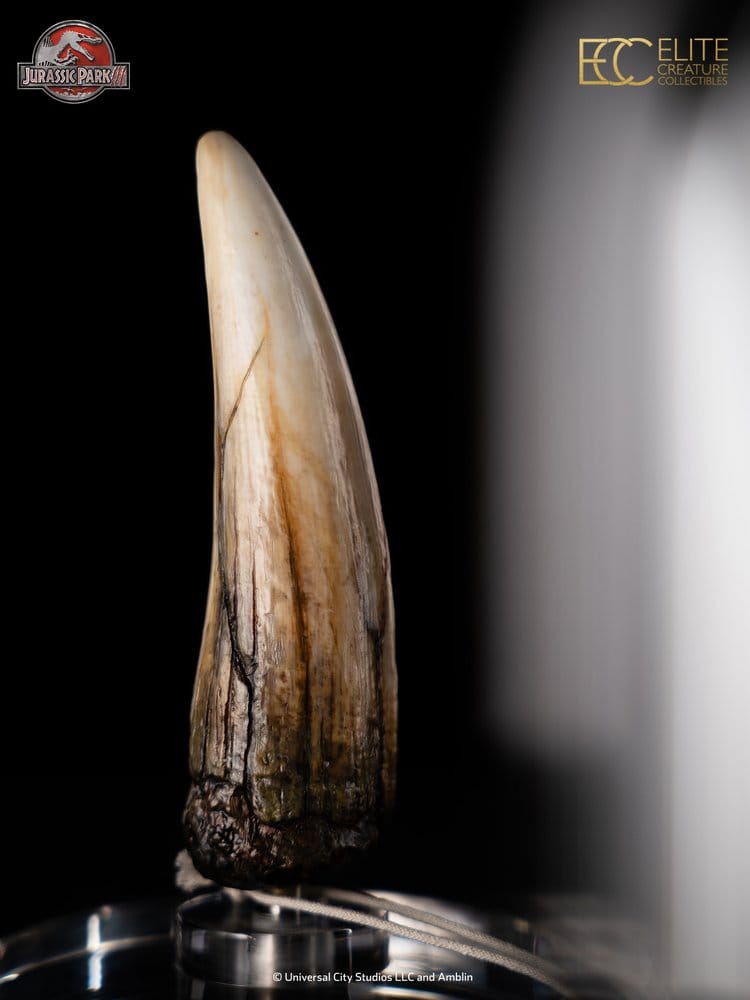 Jurassic Park III Prop Replica 1/1 Scale Spinosaurus Tooth, 14 cm
