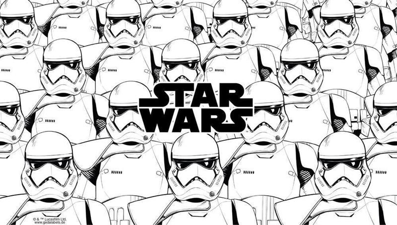 Star Wars IX Edelstahl-Trinkflasche Stormtroopers