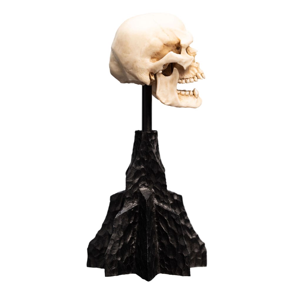 Herr der Ringe Mini Statue Skull of a Mordor Orc 14 cm