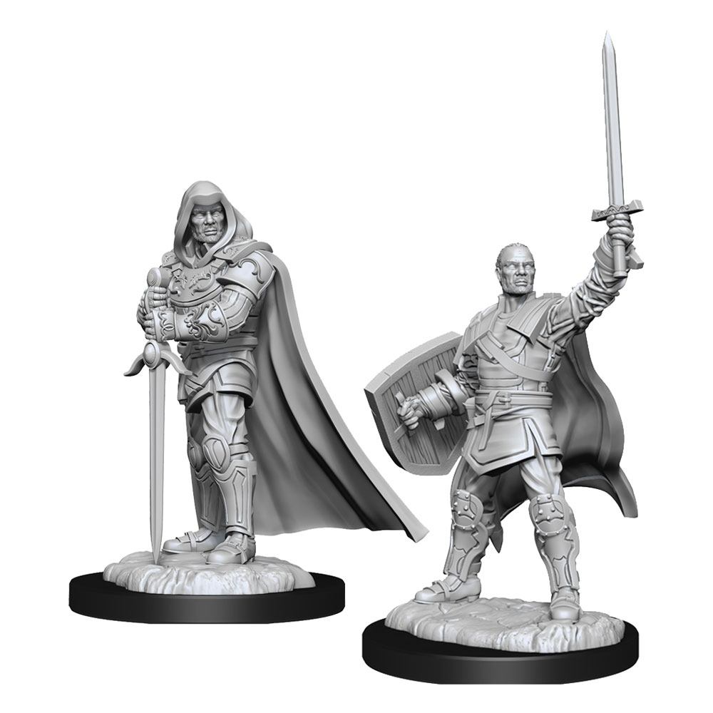 D&D Nolzur's Marvelous Miniatures Unpainted Miniatures Human Paladin Male 