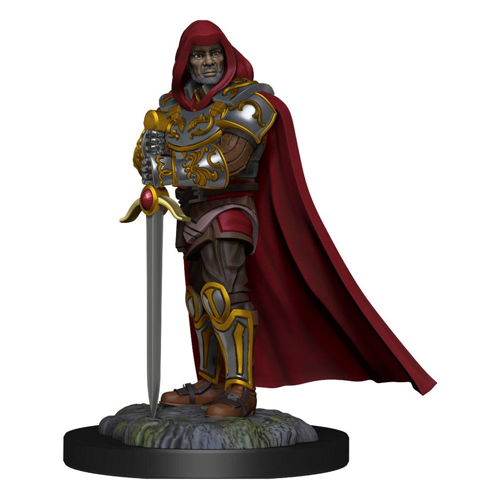 D&D Nolzur's Marvelous Miniatures Unpainted Miniatures Human Paladin Male 