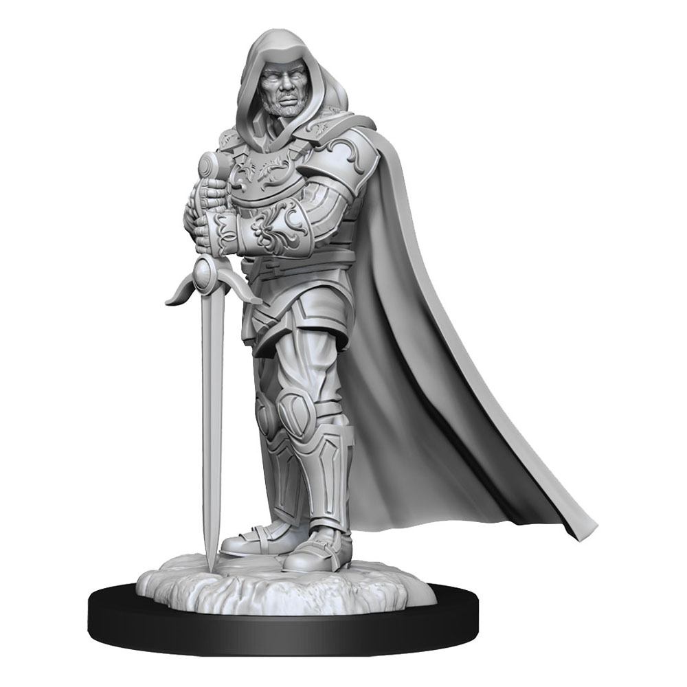 D&D Nolzur's Marvelous Miniatures Unpainted Miniatures Human Paladin Male 