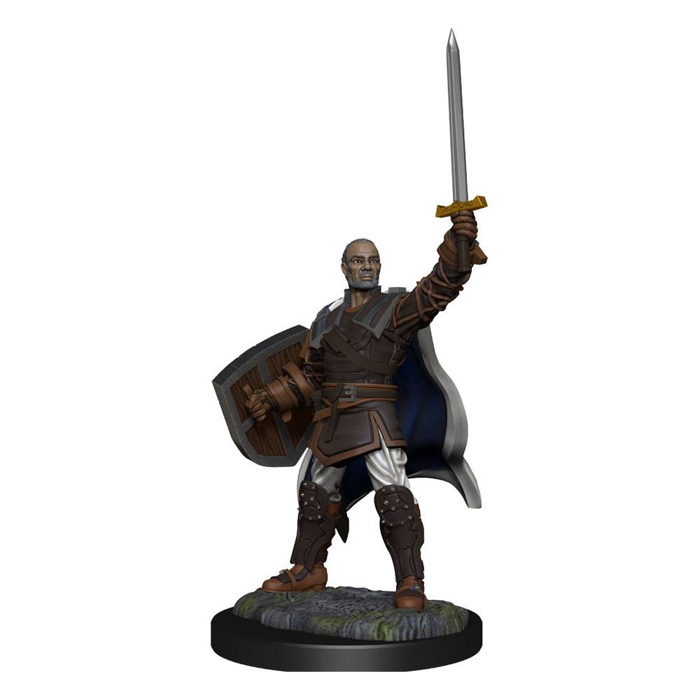 D&D Nolzur's Marvelous Miniatures Unpainted Miniatures Human Paladin Male 