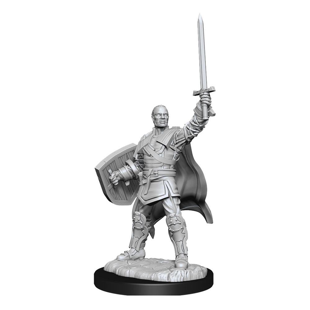 D&D Nolzur's Marvelous Miniatures Unpainted Miniatures Human Paladin Male 