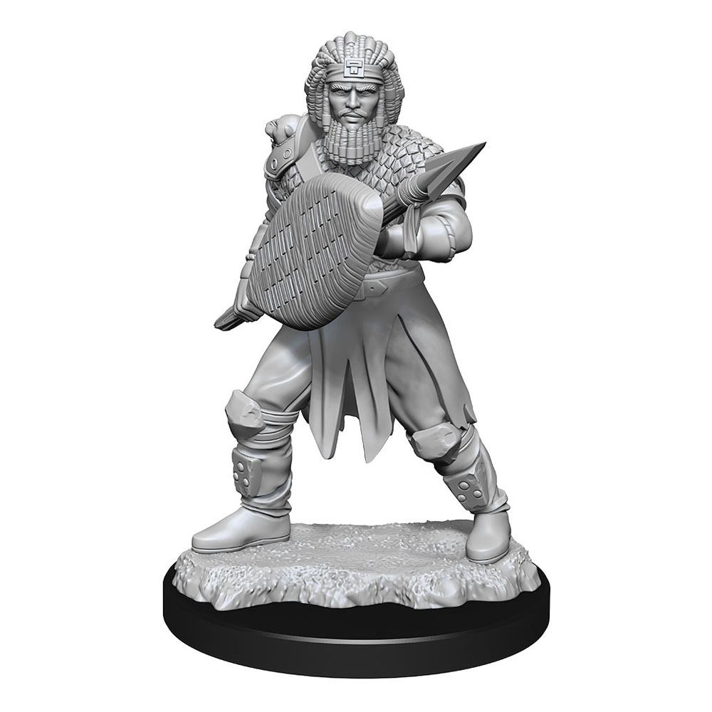 D&D Nolzur's Marvelous Miniatures Unpainted Miniatures Human Fighter Male