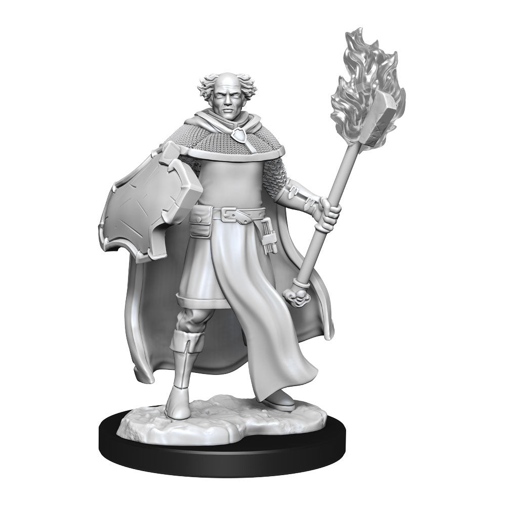 D&D Nolzur's Marvelous Miniatures Unpainted Multiclass Cleric & Wizard Male