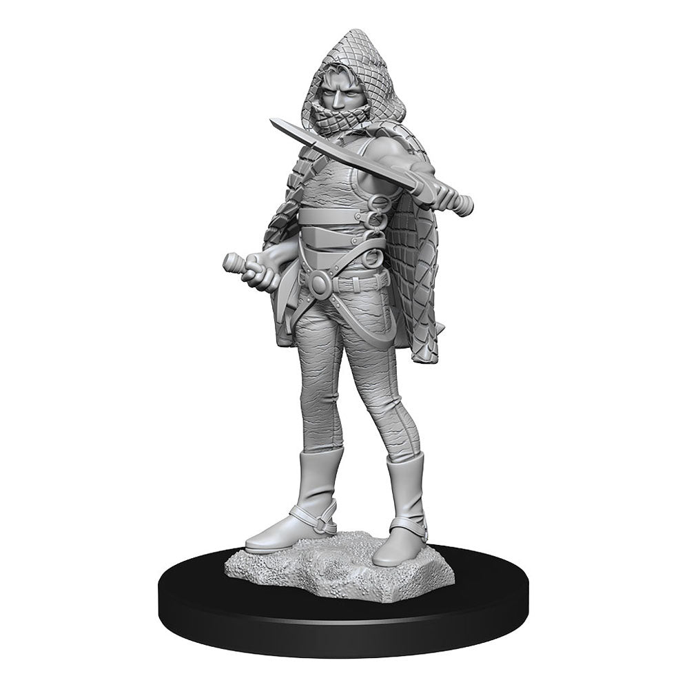 D&D Nolzur's Marvelous Miniatures Unpainted Miniatures Darkling Elder & Darklings
