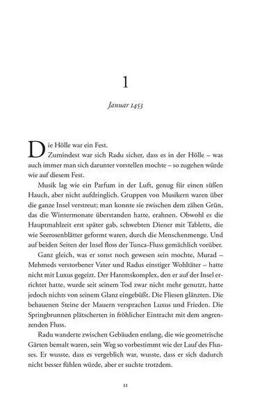 Mein ist die Macht (Eroberer-Trilogie 2)