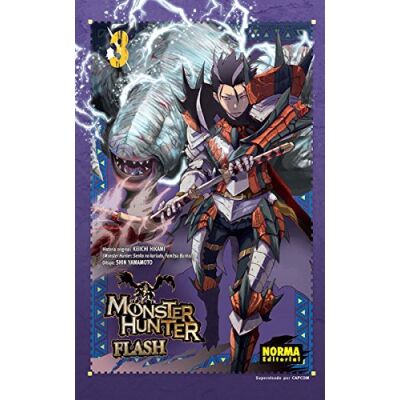 Monster Hunter Flash Hunter 03