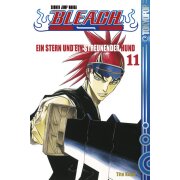 Bleach 11: Ein Stern und ein streunender Hund